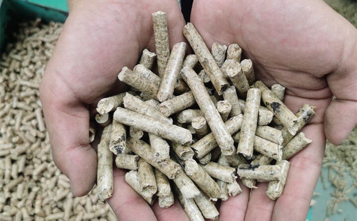 顆粒機加工設(shè)備壓出的燃料顆?？捎米髋Ｑ蝻暳匣蛉剂?/></p><p>眾所周知，秸稈一直是牛羊的飼料，但現(xiàn)在很少使用了。秸稈顆粒機是將稻殼秸稈、麩皮稈、玉米秸稈等原料混合，然后壓制而成。顆粒狀物料可供鍋爐燃燒使用。</p><p>秸稈顆粒機壓出的顆?？勺鳛槿剂稀＿@種方法在國內(nèi)外很多人都在使用，已經(jīng)很普遍了，該顆?？捎糜谌紵?、烹飪和工業(yè)鍋爐。重要的是，這種顆粒燃料是一種清潔能源。不污染環(huán)境!</p><p>試想，如果每個人都用這些秸稈顆粒燃料代替煤炭來做飯取暖，藍天還遠嗎?</p><p><a data-mid=